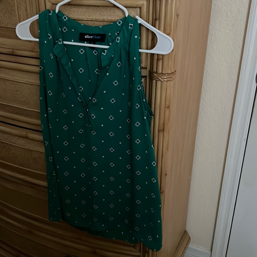 Alice blue blouse